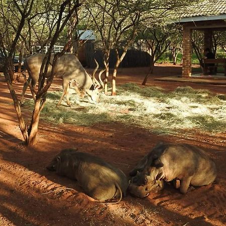462 Bosbok Chalets Marloth Park Eksteriør bilde