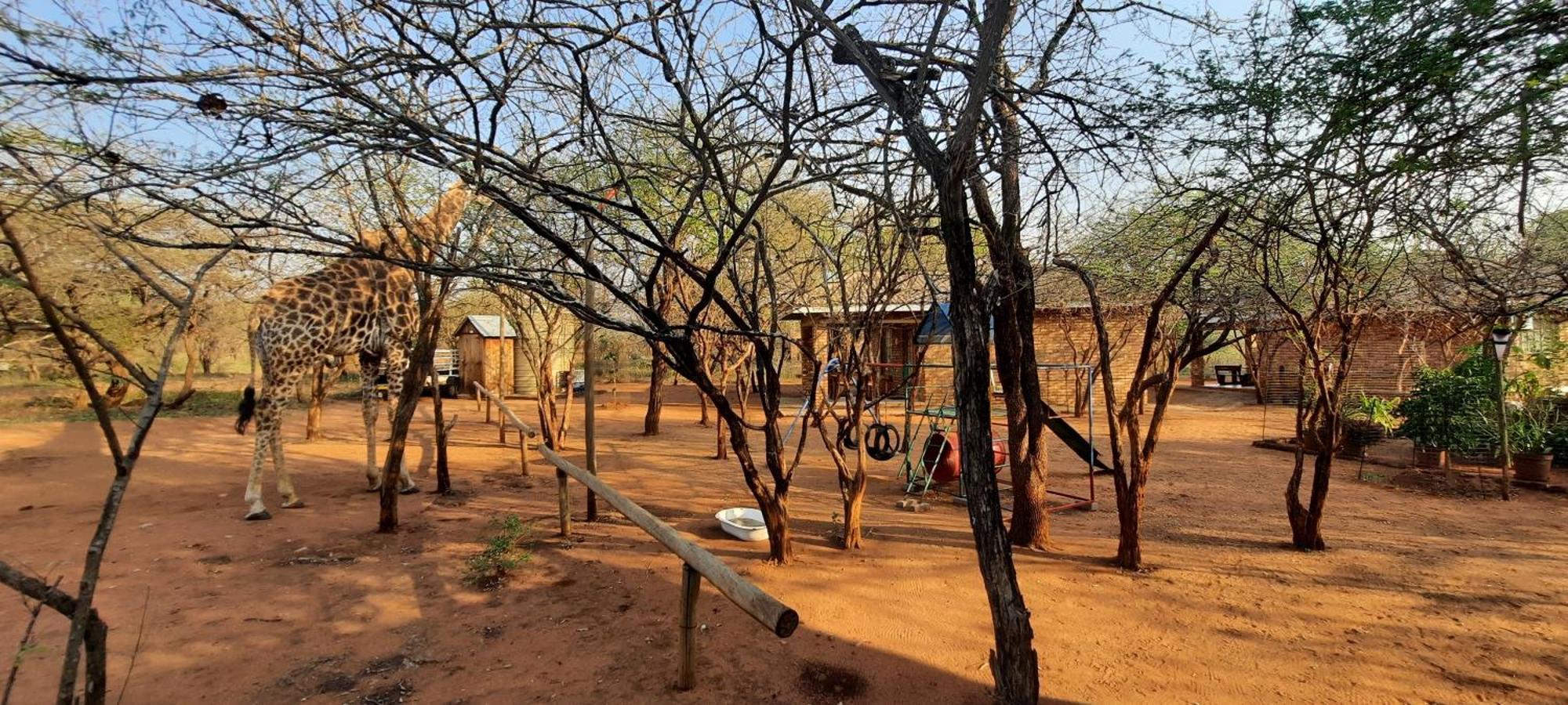 462 Bosbok Chalets Marloth Park Eksteriør bilde