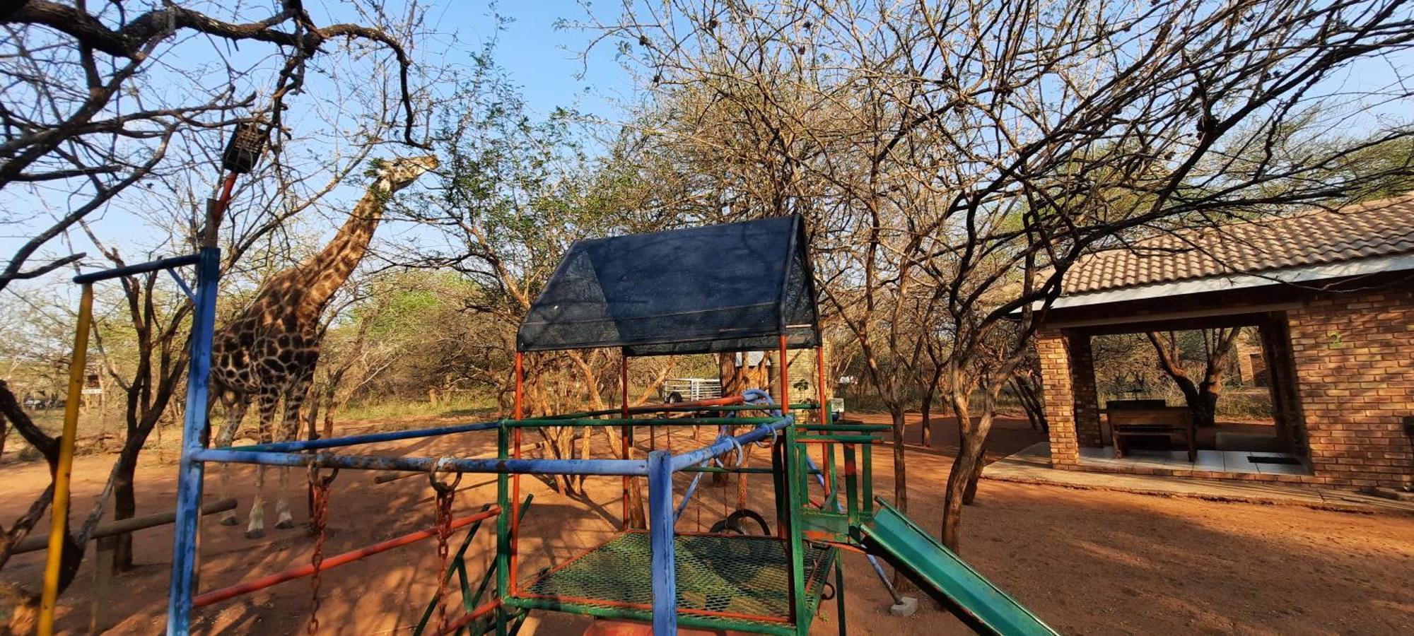 462 Bosbok Chalets Marloth Park Rom bilde
